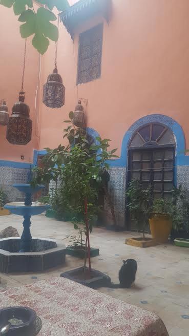 Riad Dar Kader B Marrakesch Exterior foto